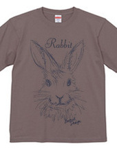 rabbit 02