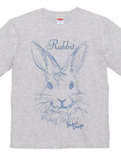 rabbit 02