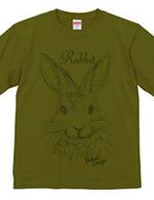 rabbit 02