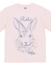 rabbit 02