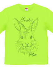 rabbit 02