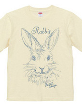 rabbit 02