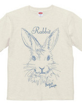 rabbit 02