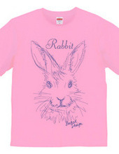 rabbit 02