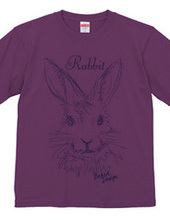 rabbit 02