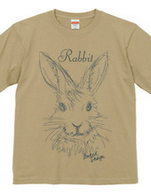 rabbit 02