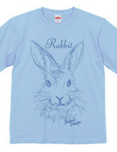 rabbit 02