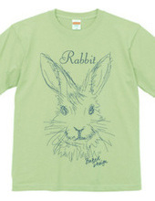 rabbit 02