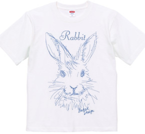 rabbit 02