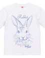 rabbit 02