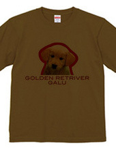 GOLDEN RETRIVER 1