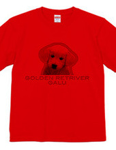 GOLDEN RETRIVER 1