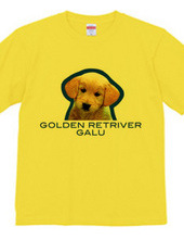 GOLDEN RETRIVER 2