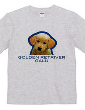 GOLDEN RETRIVER 2