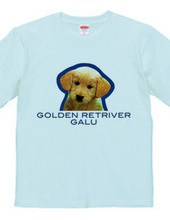 GOLDEN RETRIVER 2