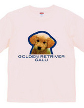 GOLDEN RETRIVER 2