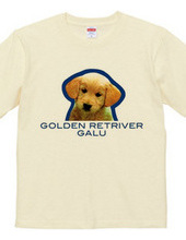 GOLDEN RETRIVER 2