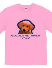 GOLDEN RETRIVER 2