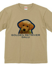 GOLDEN RETRIVER 2