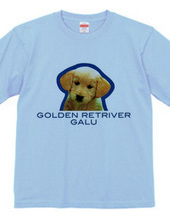 GOLDEN RETRIVER 2