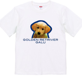 GOLDEN RETRIVER 2