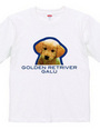 GOLDEN RETRIVER 2