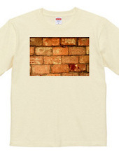 072-bricks2