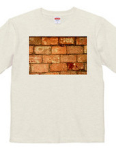 072-bricks2