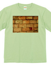 072-bricks2