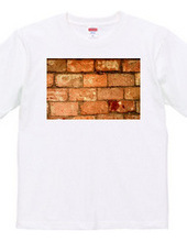 072-bricks2