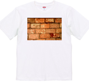 072-bricks2