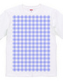 077-gingham2