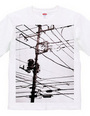 Telegraph-Pole