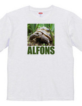 ALFONS