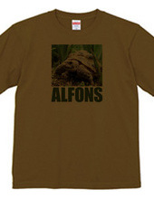 ALFONS