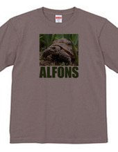 ALFONS