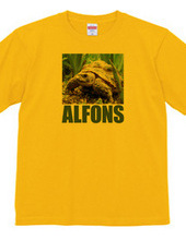 ALFONS