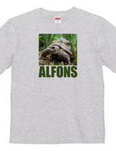 ALFONS