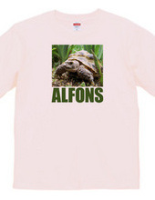 ALFONS