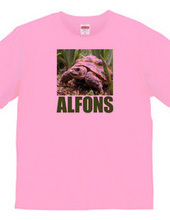 ALFONS