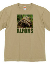 ALFONS