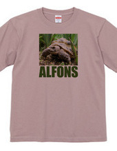 ALFONS