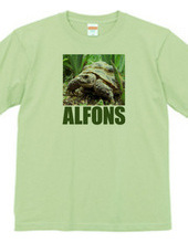 ALFONS