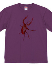 STAG BEETLE