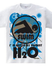 H2O_SWIMMER