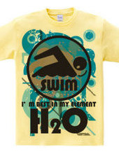 H2O_SWIMMER