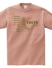 TOOTH　*歯*・片面