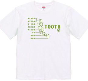 TOOTH　*歯*・片面