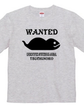 wanted! tsuchinoko