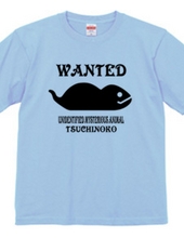 wanted! tsuchinoko